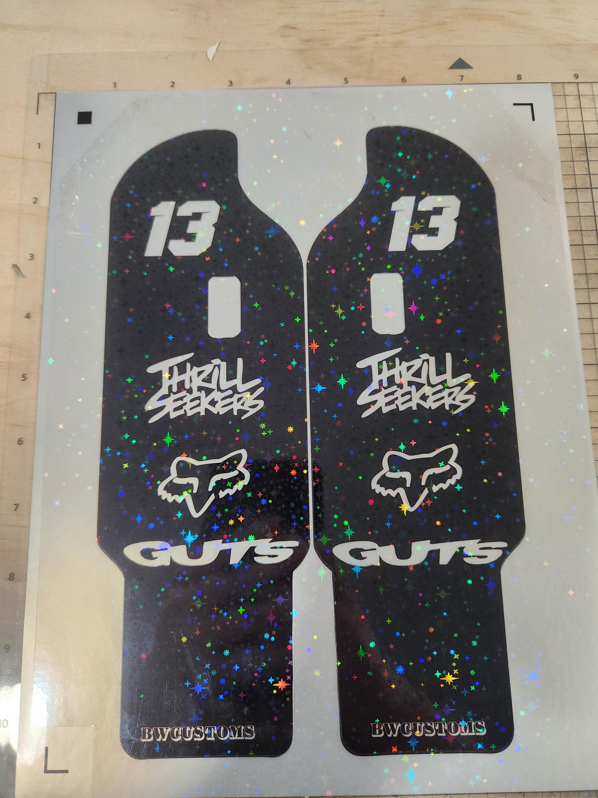 Talaria DNM Fork Gaurd Decals