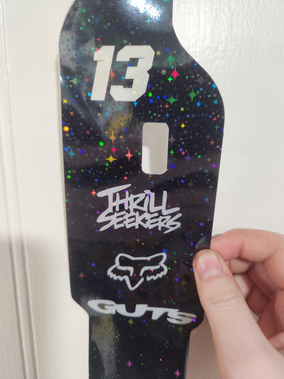 Talaria DNM Fork Gaurd Decals